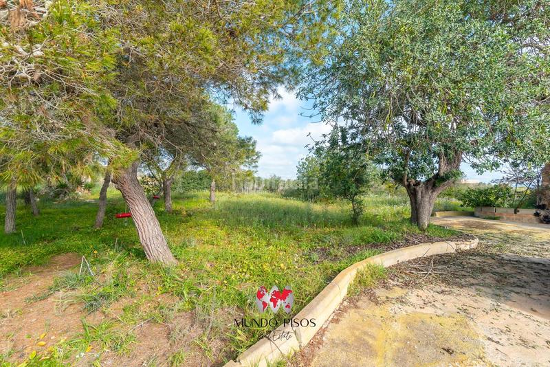 Foto ce4f0da6-bdfe-4624-9367-8dbeaba2eec6. Masía espectacular finca rústica con vistas al campo , mallorca, islas baleares en Santanyí