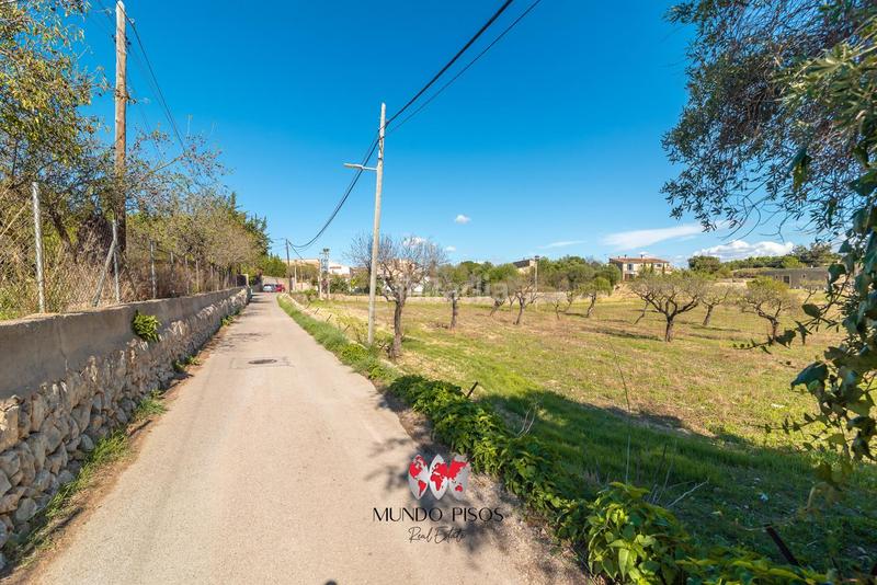 Foto c1d5fe6a-67ae-4dc1-9350-13ade958e886. Casa aparellada amb calefacció aparcament a Establiments Palma de Mallorca