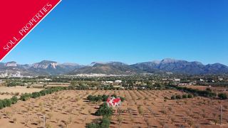 Terreno residenziale  Diseminado poligono 1, parcela 24. Finca con viñedo y proyecto de villa entre binissalem e inca, ma