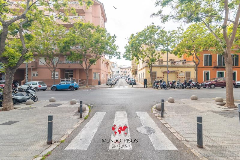 Foto 396fb3f9-9ec1-4706-bba9-492c9497a5da. Pis a Santa Catalina Palma de Mallorca