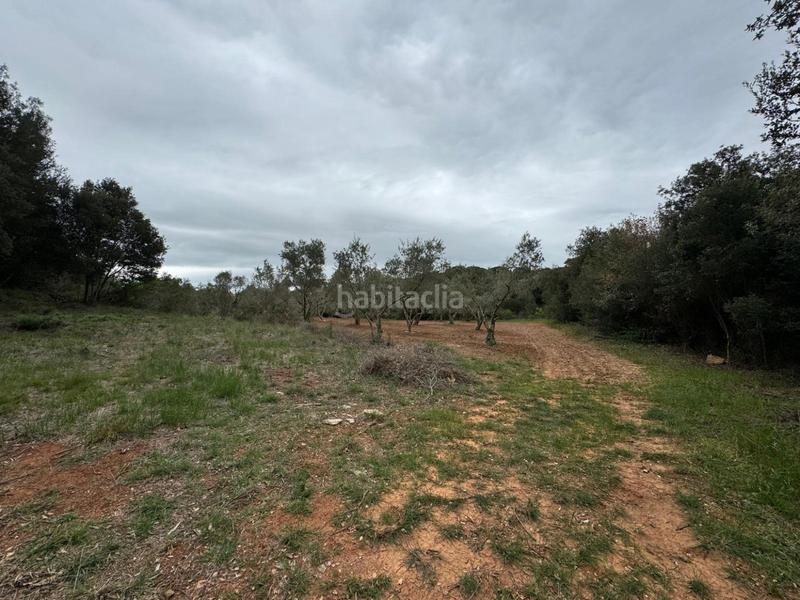 Foto 1bd96e8b-6f8b-40ae-83f6-c8e1fccb05d1. Casa in Sant Daniel Girona