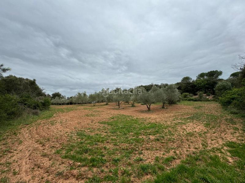 Foto 274d96e5-0990-4a40-9cba-3342d30748bf. Casa in Sant Daniel Girona