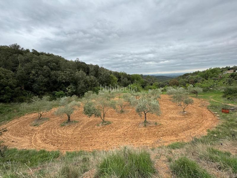 Foto 2974005d-fe6d-4b35-a5b9-6fbe97ee4a81. Casa in Sant Daniel Girona