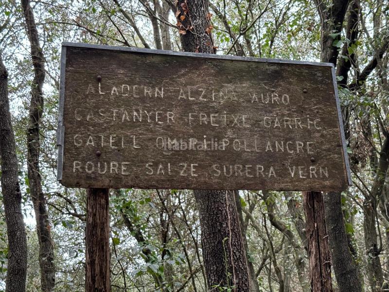 Foto 769ca37c-b93a-4e3d-8fbf-69cfadc8845f. Casa in Sant Daniel Girona