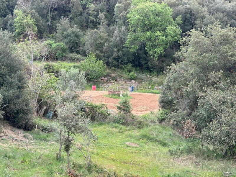 Foto 87f4ec72-2f2e-49d7-89ea-c4931434437f. Casa in Sant Daniel Girona