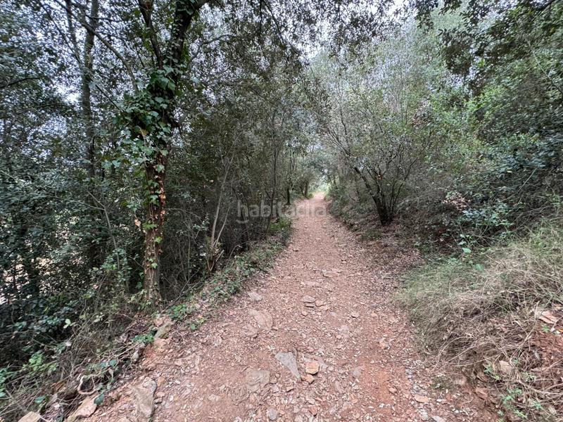 Foto 90043e8e-0620-4e8a-8e39-e21f33f0e95c. Casa in Sant Daniel Girona