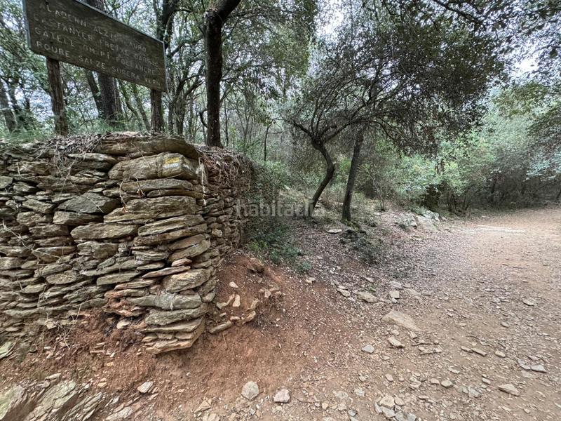 Foto db30addf-6370-4b83-9e54-e1fafc97e2d2. Casa in Sant Daniel Girona