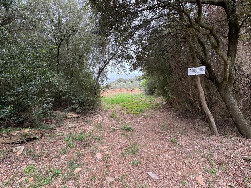 Foto dc471a8f-04ee-403d-8605-d5f42dd3466f. Casa in Sant Daniel Girona