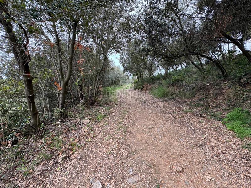 Foto ef29e547-188a-49bc-8b2d-be559e04a55a. Casa in Sant Daniel Girona