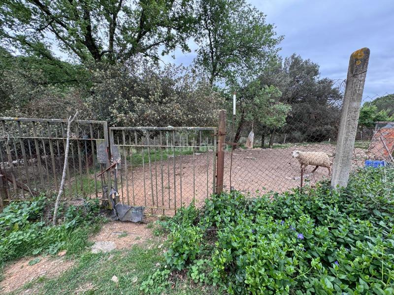 Foto f41ce34f-28c9-4c4f-85f8-8abd6ed3bbda. Casa in Sant Daniel Girona