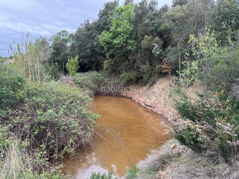 Foto fe11afee-2eca-422b-90c6-df13f81b7b5f. Casa in Sant Daniel Girona