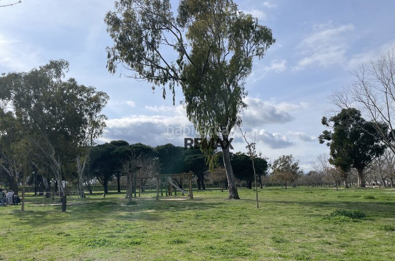 Foto 1226fd16-b2c4-4281-b4ad-9f7e6c679a0d. Pis a Empuriabrava - sector francolí 21 a Francolí - Freser - Noguera Empuriabrava