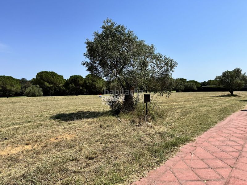 Foto 5ce3f34c-ca9e-4ef6-bd44-e5958e8ba408. Terreny residencial a Peralada
