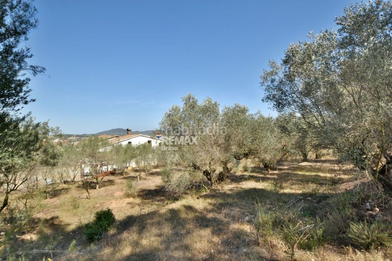 Foto 29ce3ed2-8330-40b3-97e0-c5b5102c6874. Masia a Sant Andreu de la Barca