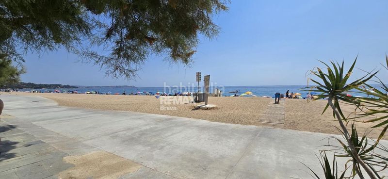 Foto da5a35d0-d103-49bf-ac53-b56ff4705c39. Planta baixa a Centre-Platja Platja d´Aro