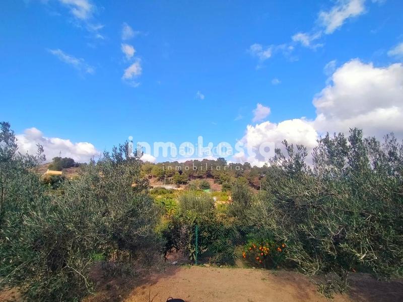 Foto 2be469d3-495a-4fa8-afbe-370d5ae33822. Fondo rustico in El Tossal-Bello Horizonte Nucia (la)