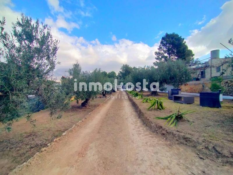 Foto 7a1a6267-0d67-4c04-a3e6-a327ea0efa86. Fondo rustico in El Tossal-Bello Horizonte Nucia (la)