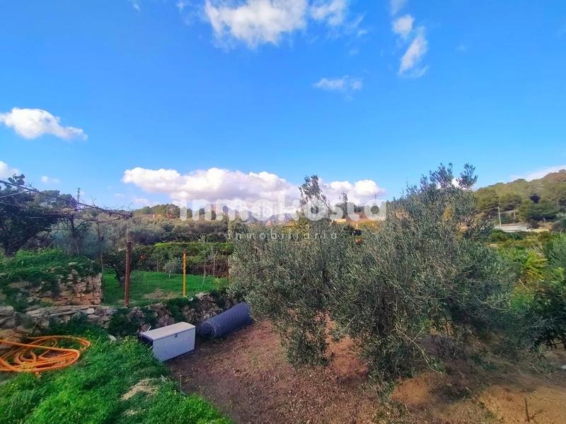 Foto c8c77e70-ed68-48cd-a20b-2b6e42301c6f. Fondo rustico in El Tossal-Bello Horizonte Nucia (la)