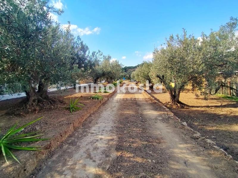 Foto e0f25065-a418-45db-a386-f635739a186c. Fondo rustico in El Tossal-Bello Horizonte Nucia (la)