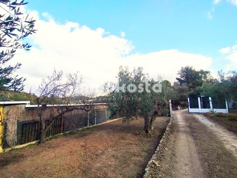 Foto fbc442d2-b328-488d-a394-0367ebb9d25f. Fondo rustico in El Tossal-Bello Horizonte Nucia (la)