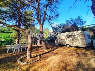 Rural plot in Escandinavia-Cautivador. Terreno rústico en alfaz del pi