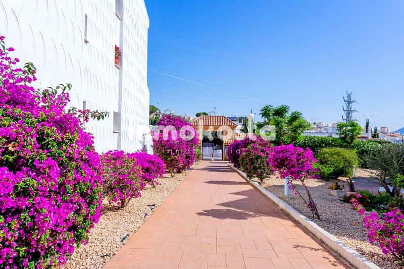 Foto 5c776fb3-716a-499a-89d7-759a426371b2. Casa adossada amb aparcament piscina a Montebello - Nou Espai Nucia (la)