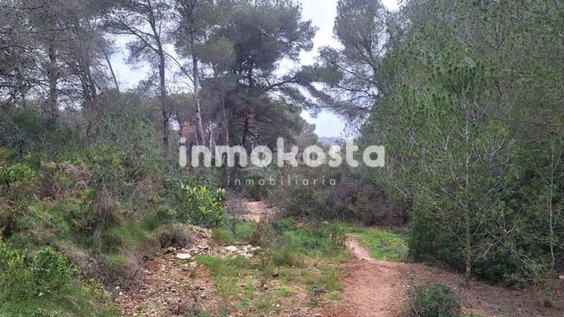 Foto 628c8c91-7065-477b-8c89-992d9561003d. Terreno residencial conjunto de parcelas en Portichol-Balcón al Mar Xàbia