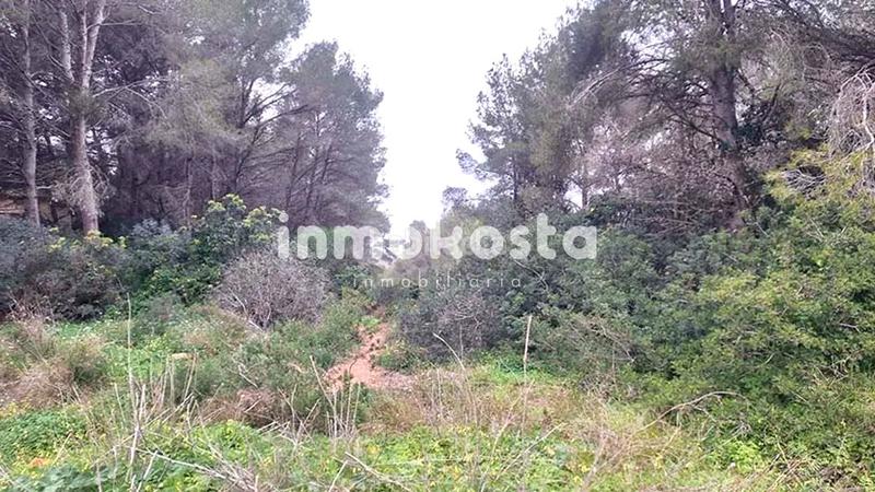 Foto e088db4a-4857-4523-b291-dfb702123c6e. Terreno residencial conjunto de parcelas en Portichol-Balcón al Mar Xàbia