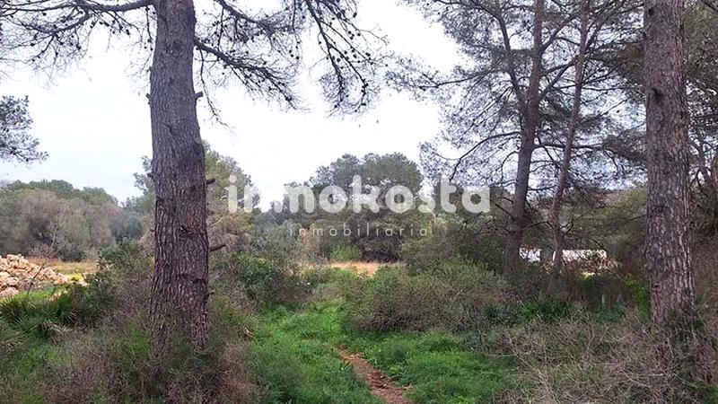 Foto f060cd72-c6e8-466c-a196-ca7f0423e370. Terreno residencial conjunto de parcelas en Portichol-Balcón al Mar Xàbia