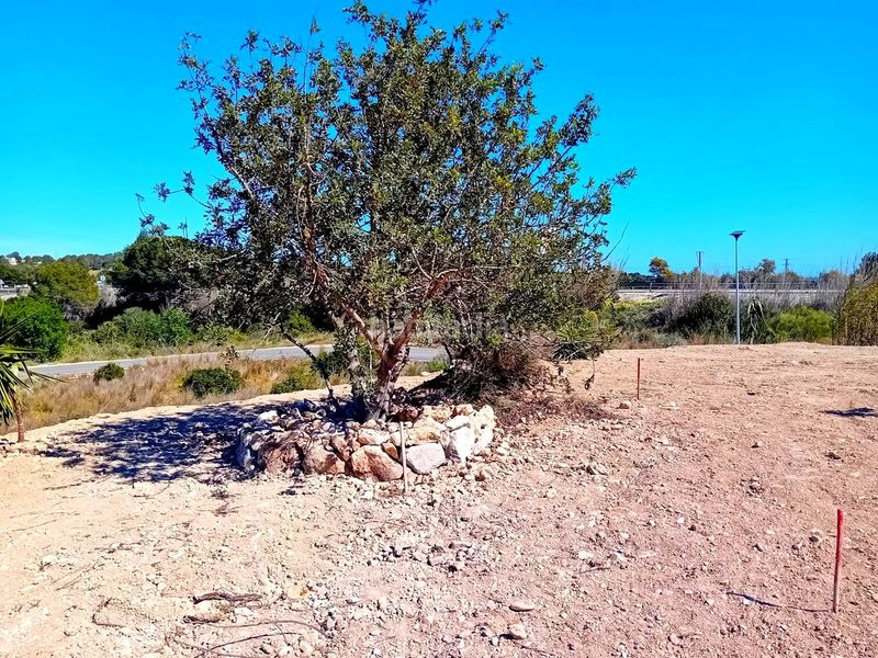 Foto 443c838f-cf38-4ef1-861d-3df6f6404a19. Finca rústica a Altea la vella Altea