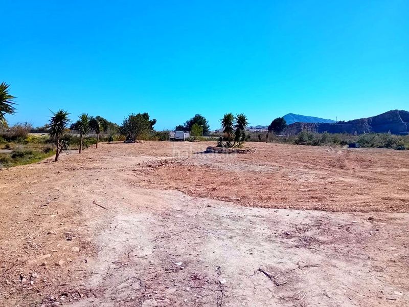 Foto bebcca25-3e2c-4882-be9f-4481353b8d75. Finca rústica a Altea la vella Altea