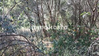 Terreno residencial  Capricornio. Parcela urbana residencial javea