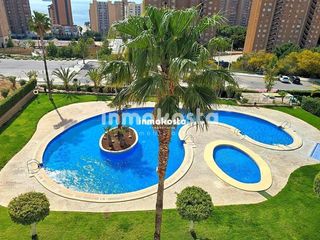 Piso  Marina alta. Vive de lujo en poniente gran terraza, urbanización completa y g