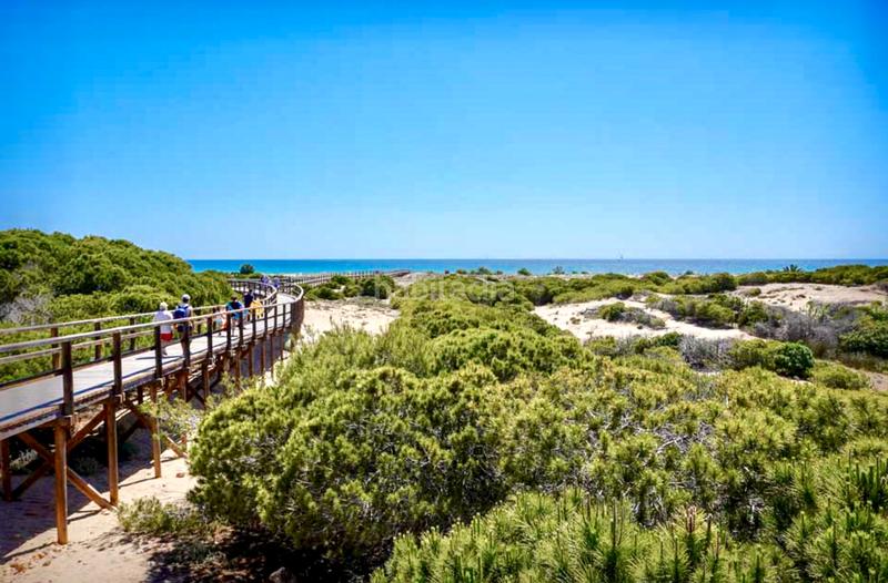 Foto 778ea483-2a33-4308-87f9-8c42c8da55b7. Chalet with heating parking pool in Monte y Mar Santa Pola