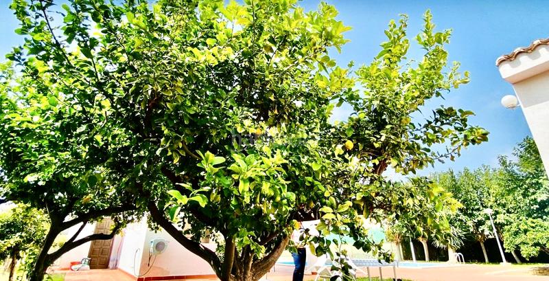 Foto c917f500-38b0-4d5e-91e4-a4fde15b7aae. Chalet avec cheminée chauffage parking piscine dans San Juan de Alicante