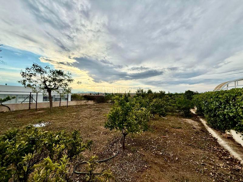 Foto d8d7640b-eb90-4468-b11d-f07cbe319b94. Chalet con camino riscaldamento parcheggio piscina in Santa Pola