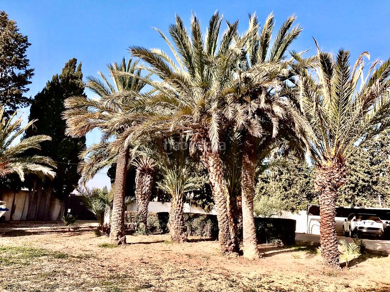 Foto 1b120237-4c62-4680-b44e-94835805b565. Chalet mit kamin heizung parking pool in Alicante golf Alicante