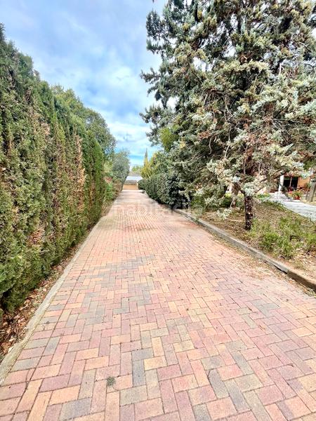 Foto a582cd55-1690-45c9-bfba-91400a071213. Chalet mit kamin heizung parking pool in Villafranqueza Alicante