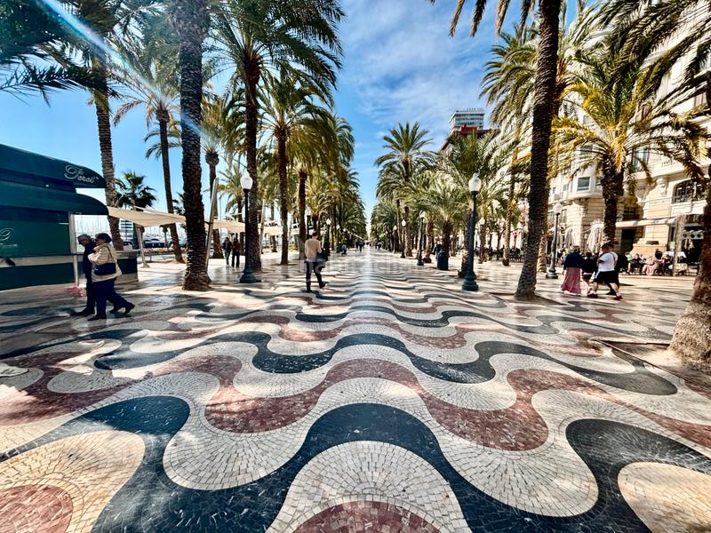 Foto d311a40b-609f-49d6-8baa-ddd5cabba806. Appartamento in Barrio del Centro Alicante