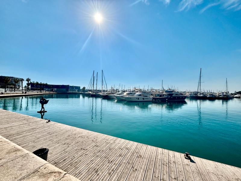 Foto b265da8b-9022-4954-8a1c-3109346dbd62. Pis a Barrio del Centro Alicante