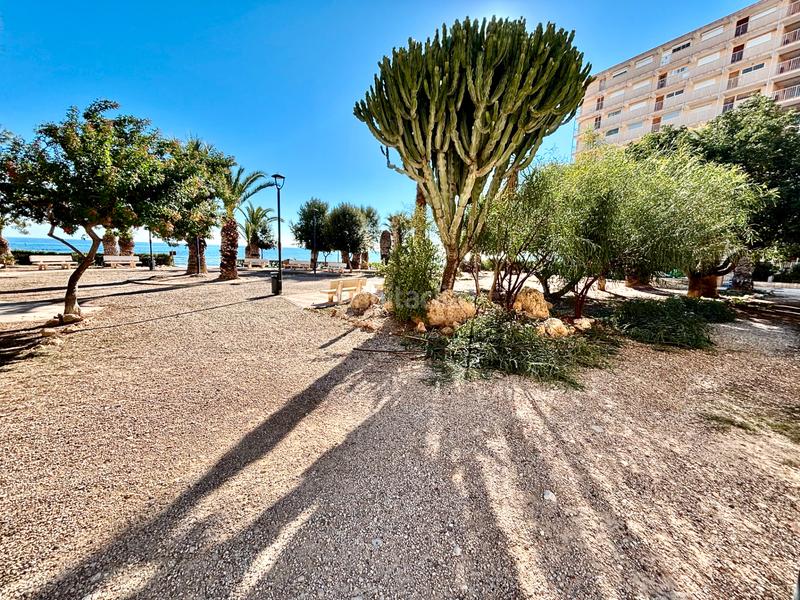 Foto 3a4e0cd7-bf4e-4545-afca-3f7838a718d7. Etagenwohnung mit parking pool in Playa Muchavista Campello (el)