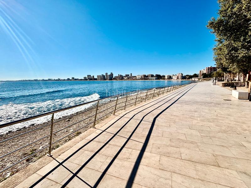 Foto b7fe7ec7-4c70-4f70-b924-428a2cbf4523. Piso en Playa Muchavista Campello (el)