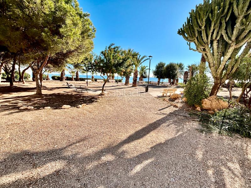 Foto d58e0e3f-939b-44a5-8146-103d26de2ef3. Piso en Playa Muchavista Campello (el)