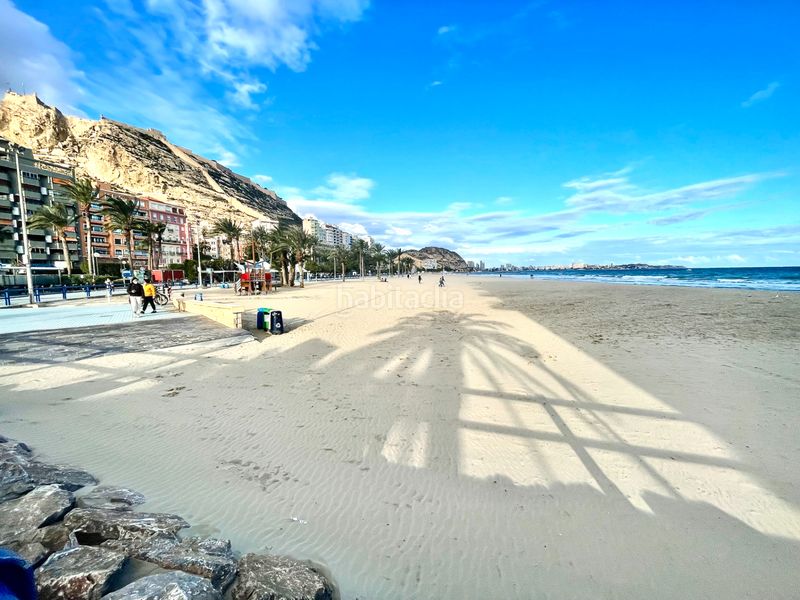 Foto a8ab6d62-d812-45eb-9751-2d6cf2eb168b. Piso en Casco Antiguo - Sta. Cruz - Ayuntamiento Alicante