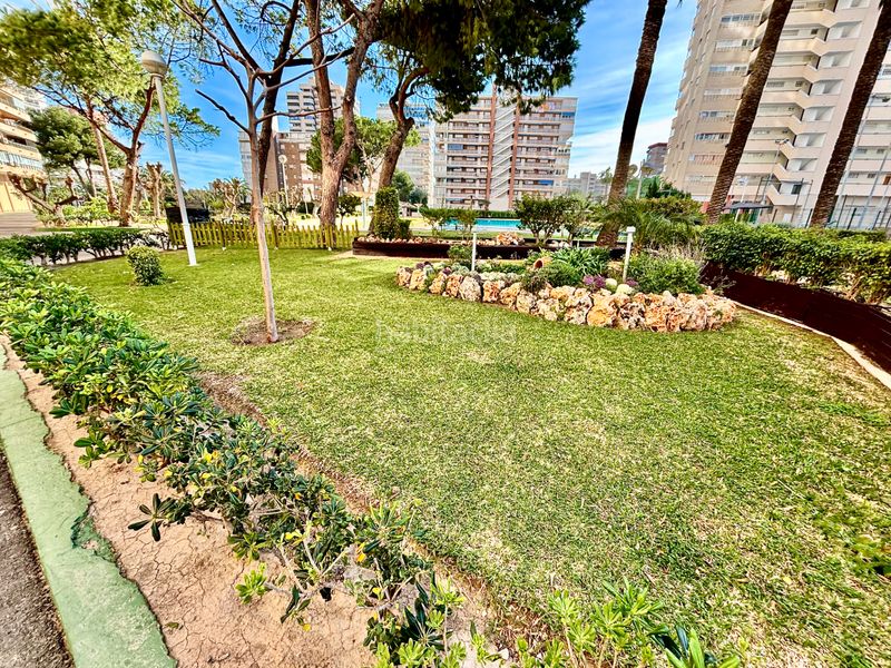 Foto 76e787fc-ebd1-4e27-aa1d-407670f12a47. Pis a avenida de holanda 5 a Playa de San Juan Alicante