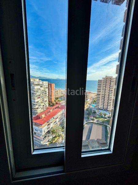 Foto ae8cf8a3-7265-4779-9fb0-e9b1e2e09270. Pis a avenida de holanda 5 a Playa de San Juan Alicante