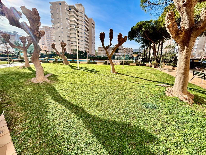 Foto b108f6a9-1fad-4b83-a9b7-2149d81c27da. Pis a avenida de holanda 5 a Playa de San Juan Alicante
