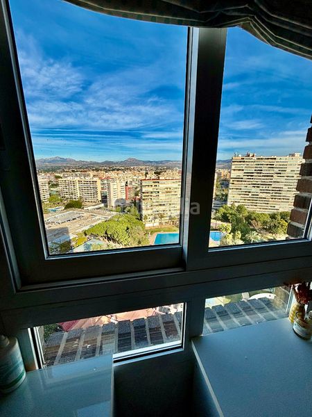 Foto e51c74a0-094c-4599-8059-6d8af7358434. Pis a avenida de holanda 5 a Playa de San Juan Alicante