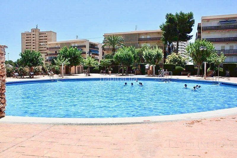 Foto 75b87c54-818f-44f0-86b1-c217e5dd082c. Pis amb aparcament piscina a Playa Muchavista Campello (el)