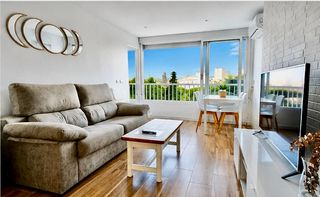 Pis  Avenida benidorm